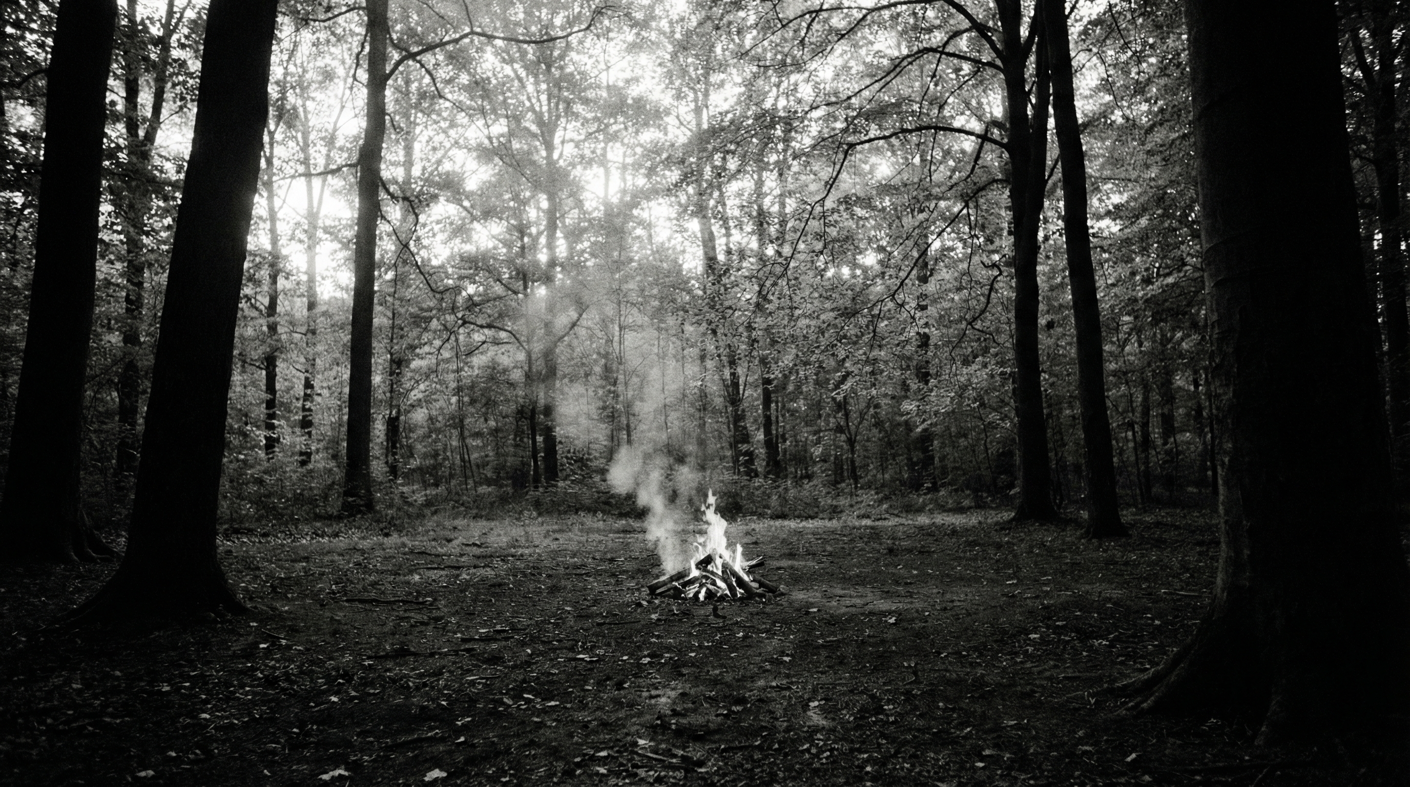 The moment of transformation