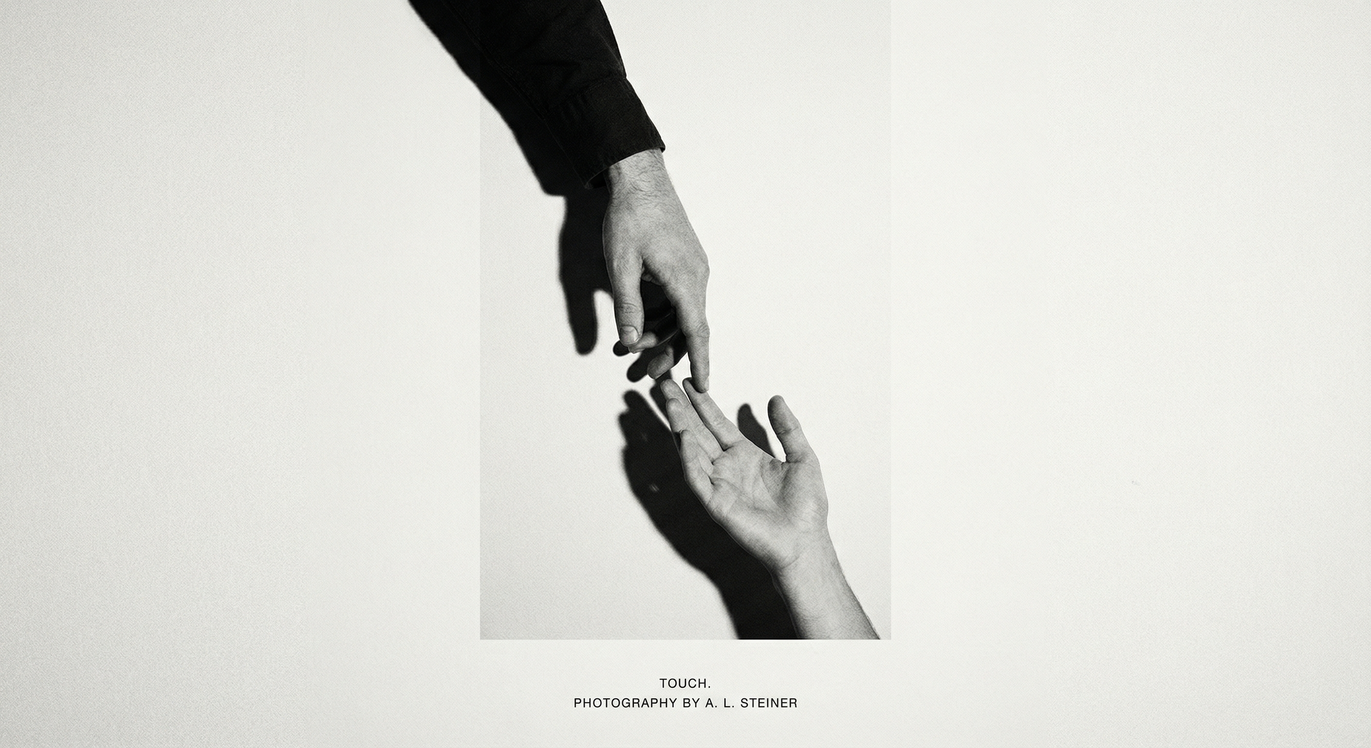 The Garden and the Machine