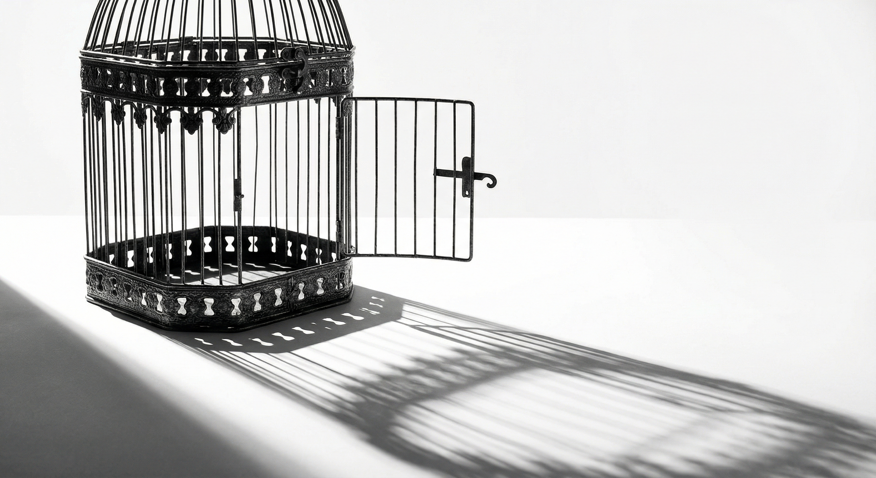 The Cage Without a Lock