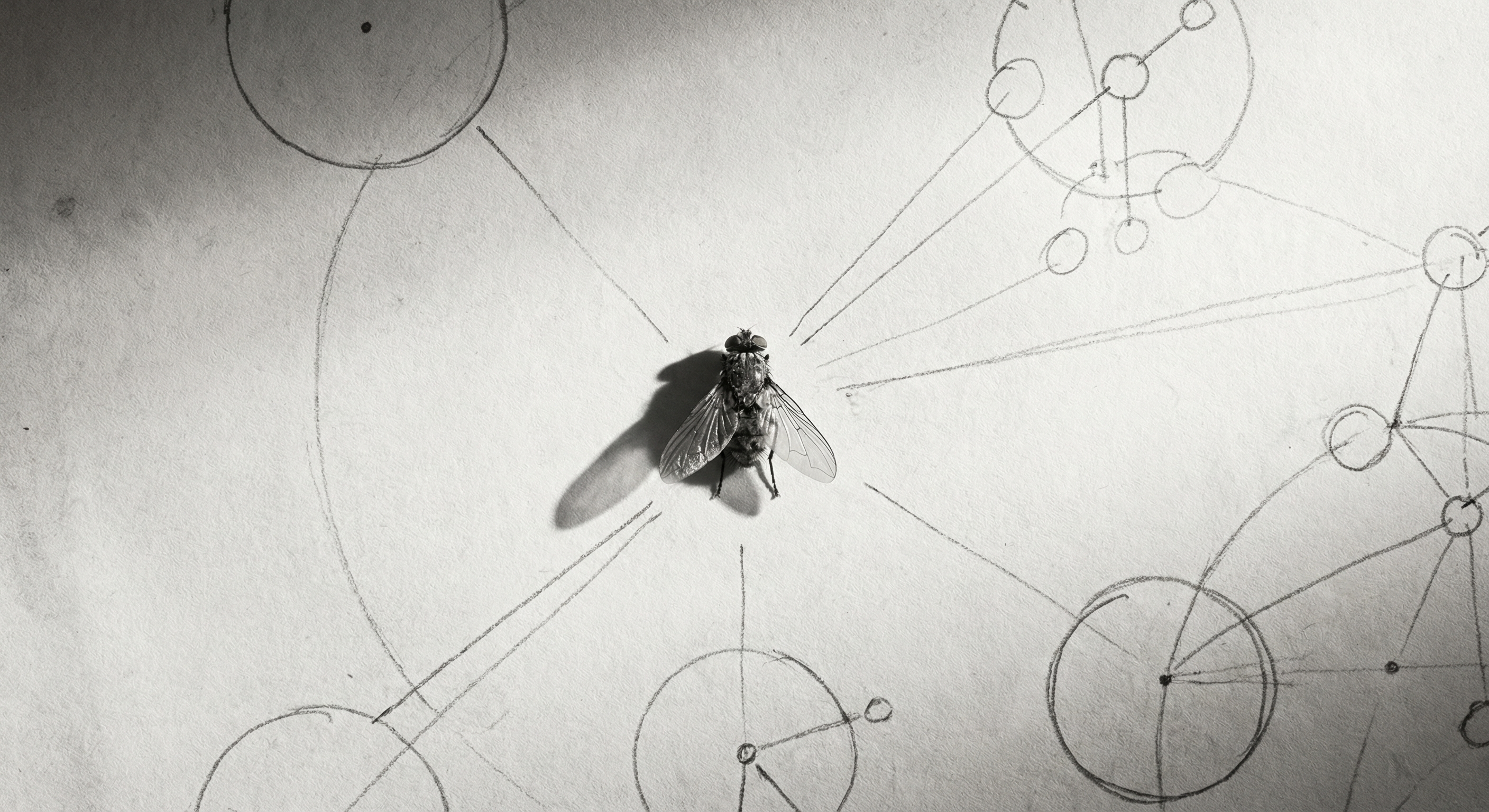 The Map Is Not the Territory. Except When It Is.